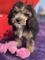 processed/edd46b37-226d-41bd-ab98-b7a43602cd81/listing/40cc9ee7-7201-4e5e-bd32-301c98e96c01/6209135d-ff9f-4aea-bca5-95e49e8c57b2