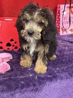 processed/edd46b37-226d-41bd-ab98-b7a43602cd81/listing/40cc9ee7-7201-4e5e-bd32-301c98e96c01/f74ab75e-cb12-4cf2-99d4-27248a46654e