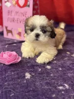 processed/edd46b37-226d-41bd-ab98-b7a43602cd81/listing/9364ee69-4c13-4146-8775-1cabe1454e7b/9c8ce793-48c3-4849-8d58-6573b95d3b10