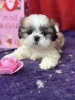 processed/edd46b37-226d-41bd-ab98-b7a43602cd81/listing/9364ee69-4c13-4146-8775-1cabe1454e7b/f68649e8-d255-485d-a92f-f96917c635b9