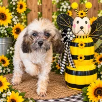 Lyrt, a male Poodle - Toy  for sale in Grand Bay, AL – 1 of 1