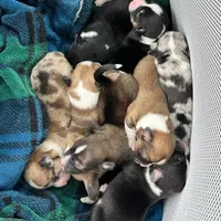 processed/ede29dc9-6f21-4919-8e46-ed5a1e15709b/facility/0a206811-98ea-4772-b35c-3c98b253d8dc