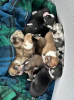 processed/ede29dc9-6f21-4919-8e46-ed5a1e15709b/facility/0a206811-98ea-4772-b35c-3c98b253d8dc