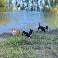 processed/ede29dc9-6f21-4919-8e46-ed5a1e15709b/facility/286e4388-e9df-4fda-8e6b-736c9a1935aa