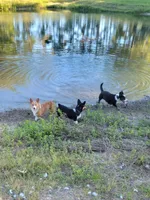 processed/ede29dc9-6f21-4919-8e46-ed5a1e15709b/facility/286e4388-e9df-4fda-8e6b-736c9a1935aa