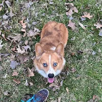 processed/ede29dc9-6f21-4919-8e46-ed5a1e15709b/facility/3bf1f9d1-eb8b-4f5a-ac85-a28ec43d1636