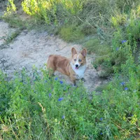 processed/ede29dc9-6f21-4919-8e46-ed5a1e15709b/facility/627b210d-89ea-4776-a2a4-541234d9ca8d