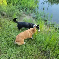 processed/ede29dc9-6f21-4919-8e46-ed5a1e15709b/facility/919f3d52-eeff-4f1c-a088-e082f92d0a3e