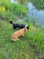 processed/ede29dc9-6f21-4919-8e46-ed5a1e15709b/facility/919f3d52-eeff-4f1c-a088-e082f92d0a3e