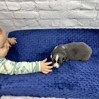 processed/ede29dc9-6f21-4919-8e46-ed5a1e15709b/facility/c9b49823-1fda-4947-9147-04843c497e79