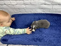 processed/ede29dc9-6f21-4919-8e46-ed5a1e15709b/facility/c9b49823-1fda-4947-9147-04843c497e79