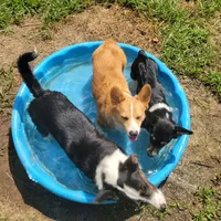 processed/ede29dc9-6f21-4919-8e46-ed5a1e15709b/facility/e658a498-56cc-4b97-912e-b7e21e6945d0