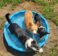 processed/ede29dc9-6f21-4919-8e46-ed5a1e15709b/facility/e658a498-56cc-4b97-912e-b7e21e6945d0