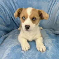 processed/ede29dc9-6f21-4919-8e46-ed5a1e15709b/listing/bc9f69e0-e4a3-4df3-b5c6-0340ad6112c4/21236884-e8eb-4fbf-a131-9d644fb12c27