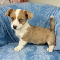 processed/ede29dc9-6f21-4919-8e46-ed5a1e15709b/listing/bc9f69e0-e4a3-4df3-b5c6-0340ad6112c4/339492b1-be9f-4992-a26d-b677e86beacf