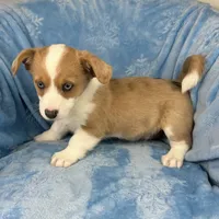 processed/ede29dc9-6f21-4919-8e46-ed5a1e15709b/listing/bc9f69e0-e4a3-4df3-b5c6-0340ad6112c4/425d39a8-96cc-4ba1-90a7-3e272f66f026