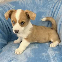 processed/ede29dc9-6f21-4919-8e46-ed5a1e15709b/listing/bc9f69e0-e4a3-4df3-b5c6-0340ad6112c4/9b0b9d90-c297-4c79-abf7-45a3c7b24d61