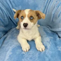 processed/ede29dc9-6f21-4919-8e46-ed5a1e15709b/listing/bc9f69e0-e4a3-4df3-b5c6-0340ad6112c4/d0c50322-f15d-4f1b-8dcf-c29544b82e34