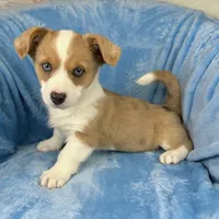 processed/ede29dc9-6f21-4919-8e46-ed5a1e15709b/listing/bc9f69e0-e4a3-4df3-b5c6-0340ad6112c4/e3e9b244-8528-4b7d-b389-3e3e2a004b91