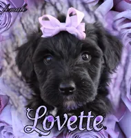 processed/edf1c1d9-96d9-4d46-a9db-dbf371521bda/listing/2b94d65d-d495-4dd2-9236-fcb67dafc260/0aeb7363-96bd-4a00-9bd1-f49fb450c109