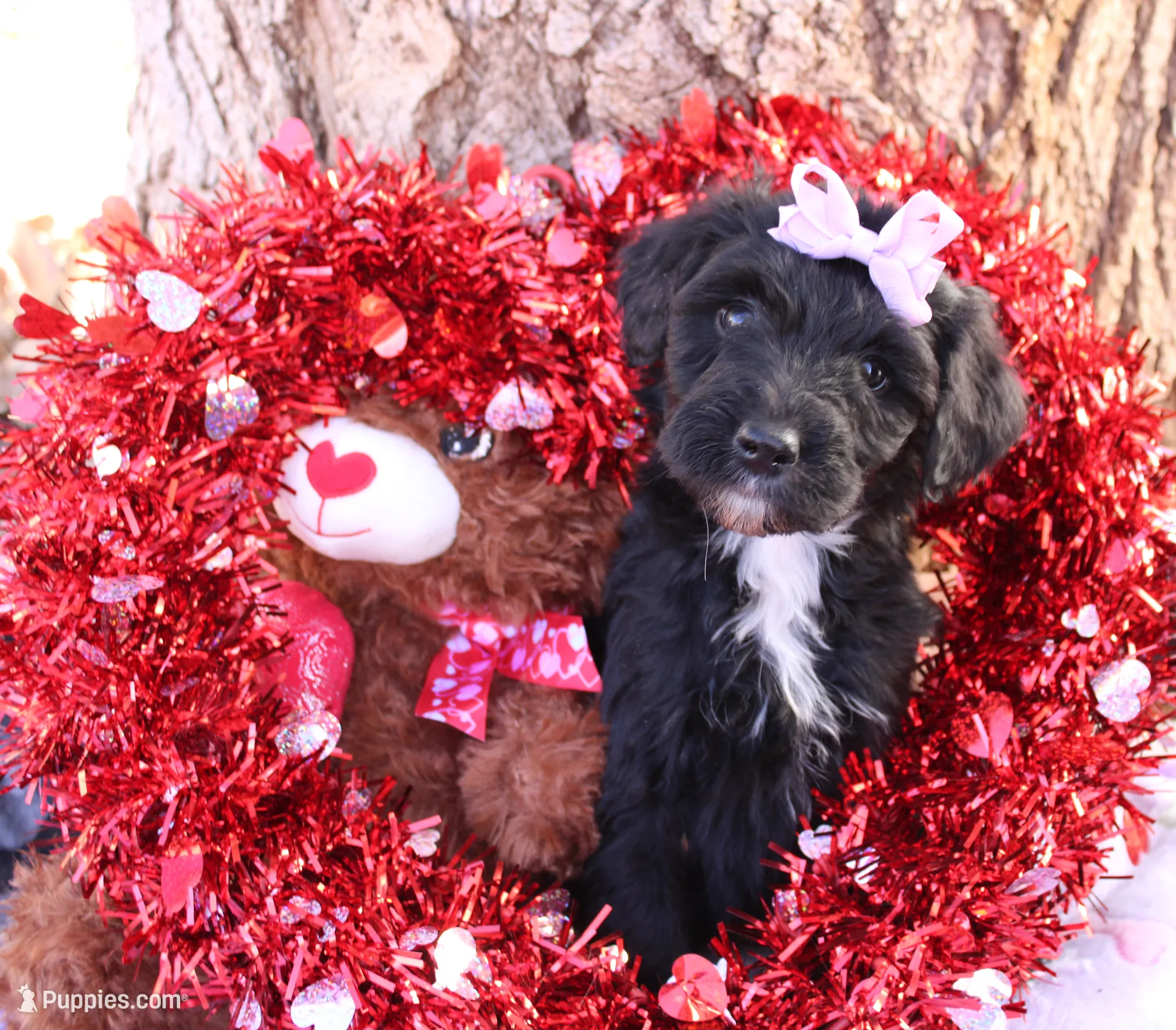 processed/edf1c1d9-96d9-4d46-a9db-dbf371521bda/listing/2b94d65d-d495-4dd2-9236-fcb67dafc260/1572b405-8bf7-4c4b-9d0b-81c5d4736b8e