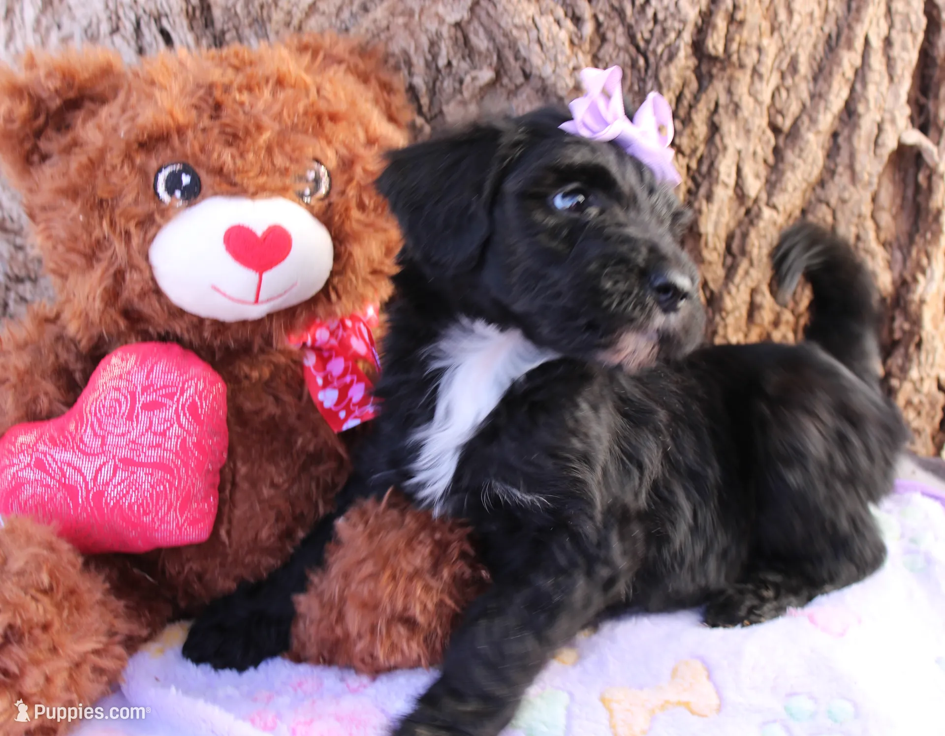 processed/edf1c1d9-96d9-4d46-a9db-dbf371521bda/listing/2b94d65d-d495-4dd2-9236-fcb67dafc260/17b18889-aac9-4d0a-8395-a317e3183bdc