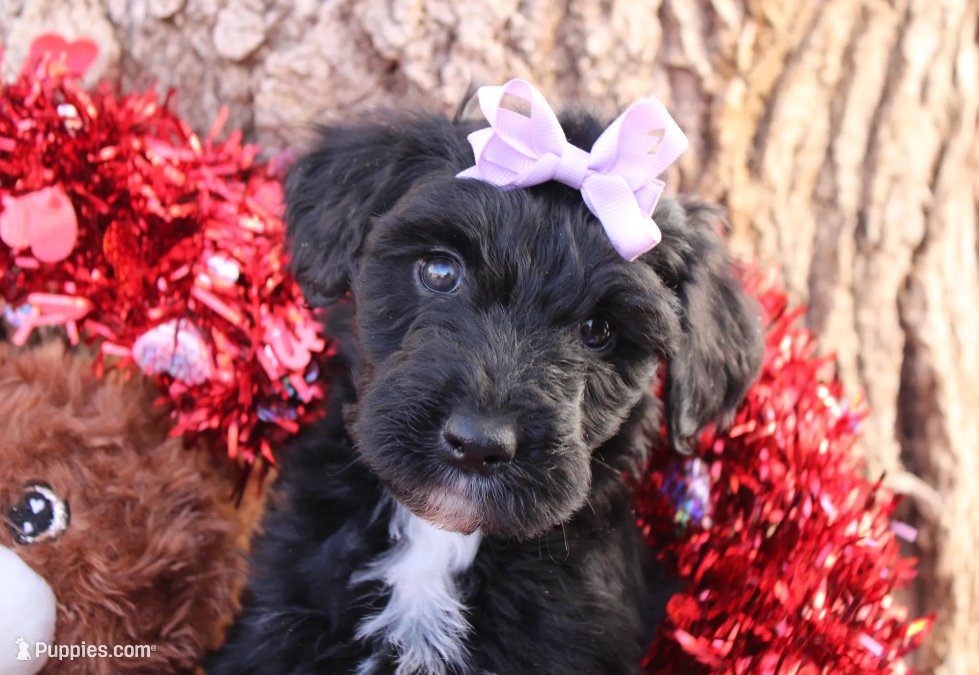 processed/edf1c1d9-96d9-4d46-a9db-dbf371521bda/listing/2b94d65d-d495-4dd2-9236-fcb67dafc260/51b9df10-f839-4daa-a024-32d219154b5d