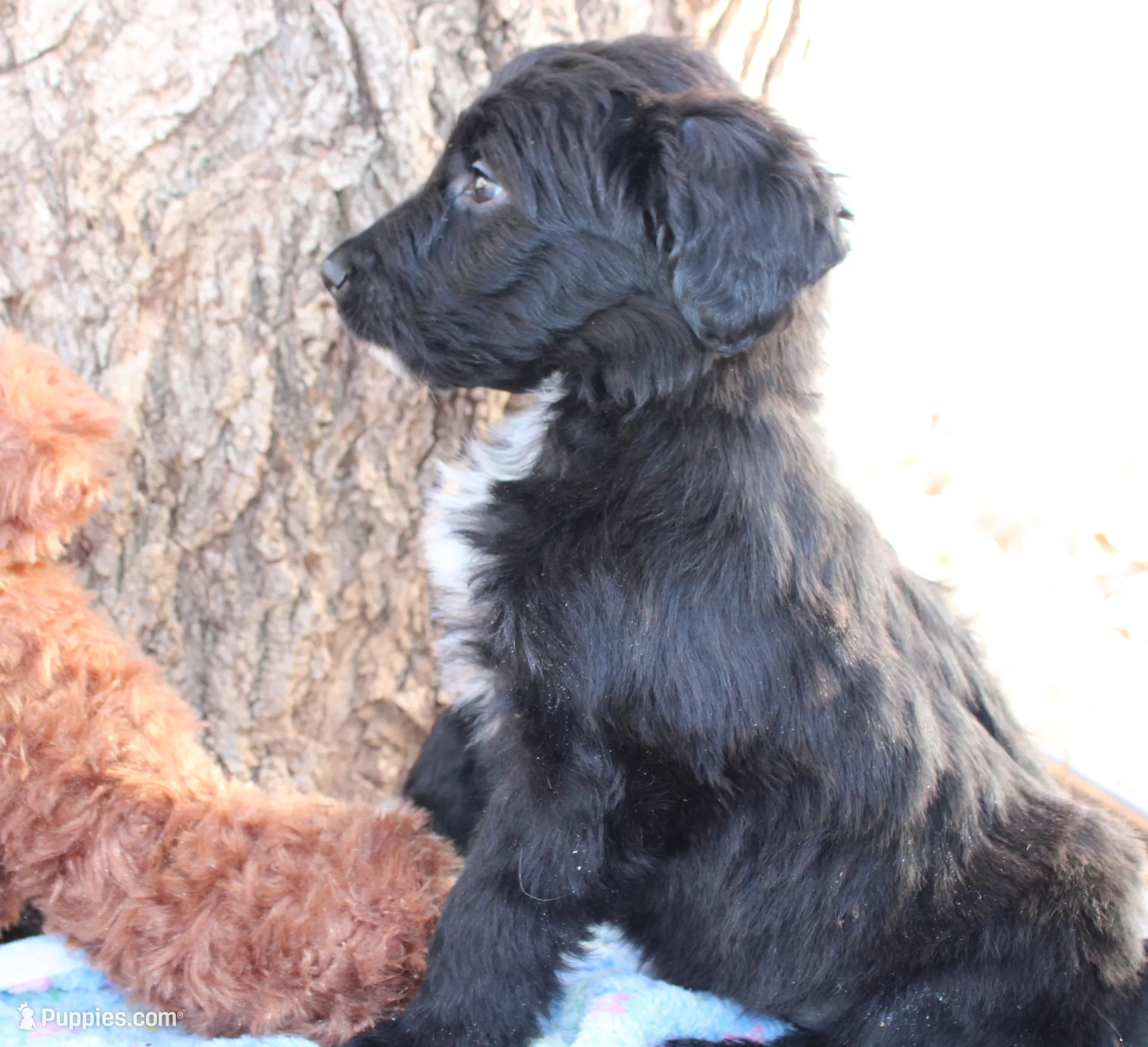 processed/edf1c1d9-96d9-4d46-a9db-dbf371521bda/listing/2de7be07-e033-4564-8d43-d0b94f82d64c/503dc565-4c9f-4e04-a6b6-043537b03c19