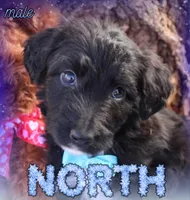 processed/edf1c1d9-96d9-4d46-a9db-dbf371521bda/listing/2de7be07-e033-4564-8d43-d0b94f82d64c/8489c54d-3b4b-4747-9e8d-e5cc674601f2