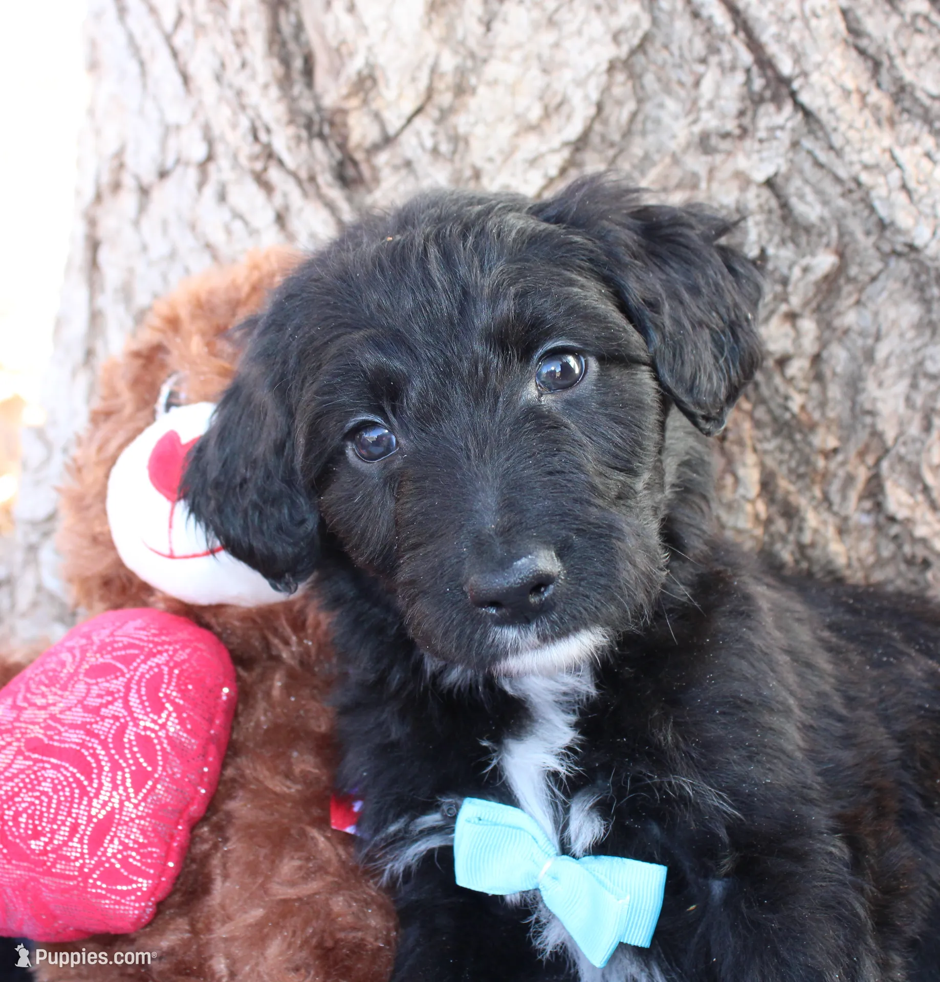 processed/edf1c1d9-96d9-4d46-a9db-dbf371521bda/listing/2de7be07-e033-4564-8d43-d0b94f82d64c/a4fb8118-3761-4e4b-9c10-81a7ae360ee3