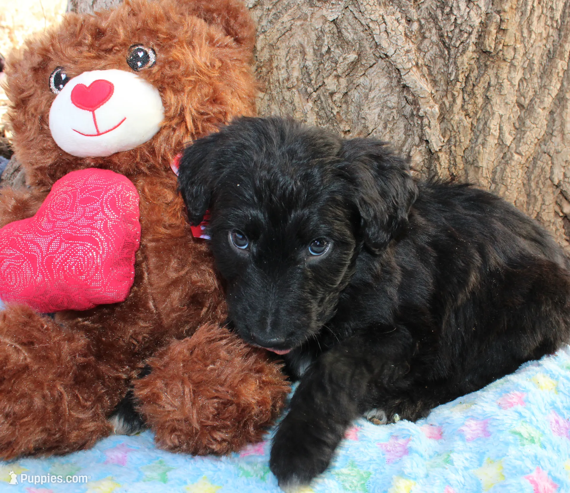 processed/edf1c1d9-96d9-4d46-a9db-dbf371521bda/listing/2de7be07-e033-4564-8d43-d0b94f82d64c/ff6d0e22-8b6f-43e9-9ce5-16668a59c244