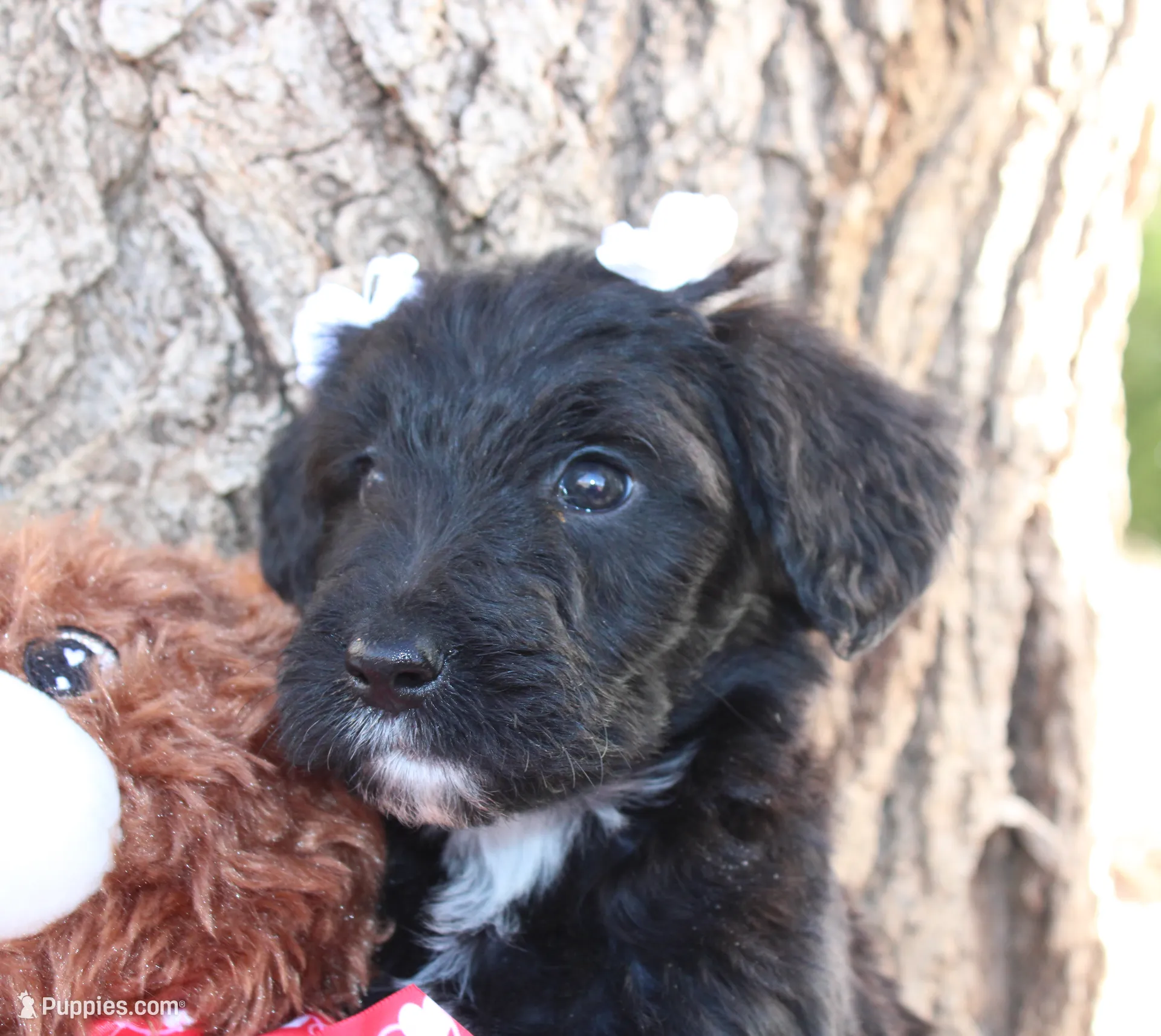 processed/edf1c1d9-96d9-4d46-a9db-dbf371521bda/listing/482e7fd3-ab68-4478-8e4a-79d6598db564/135592c9-3487-478d-8e22-37e6f2caacfa