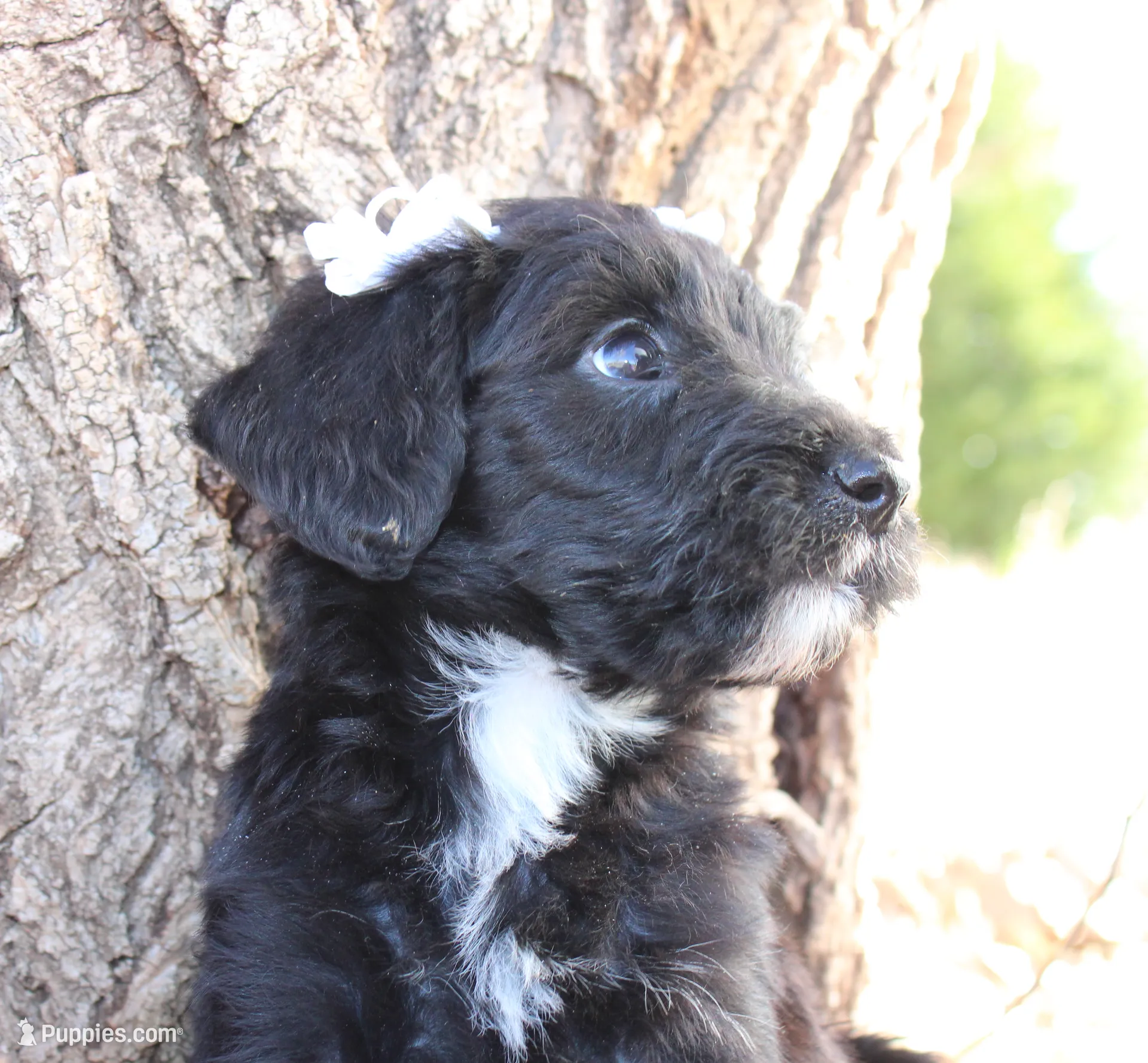 processed/edf1c1d9-96d9-4d46-a9db-dbf371521bda/listing/482e7fd3-ab68-4478-8e4a-79d6598db564/40cffca8-f06b-41cb-8600-1064c9ccc73d