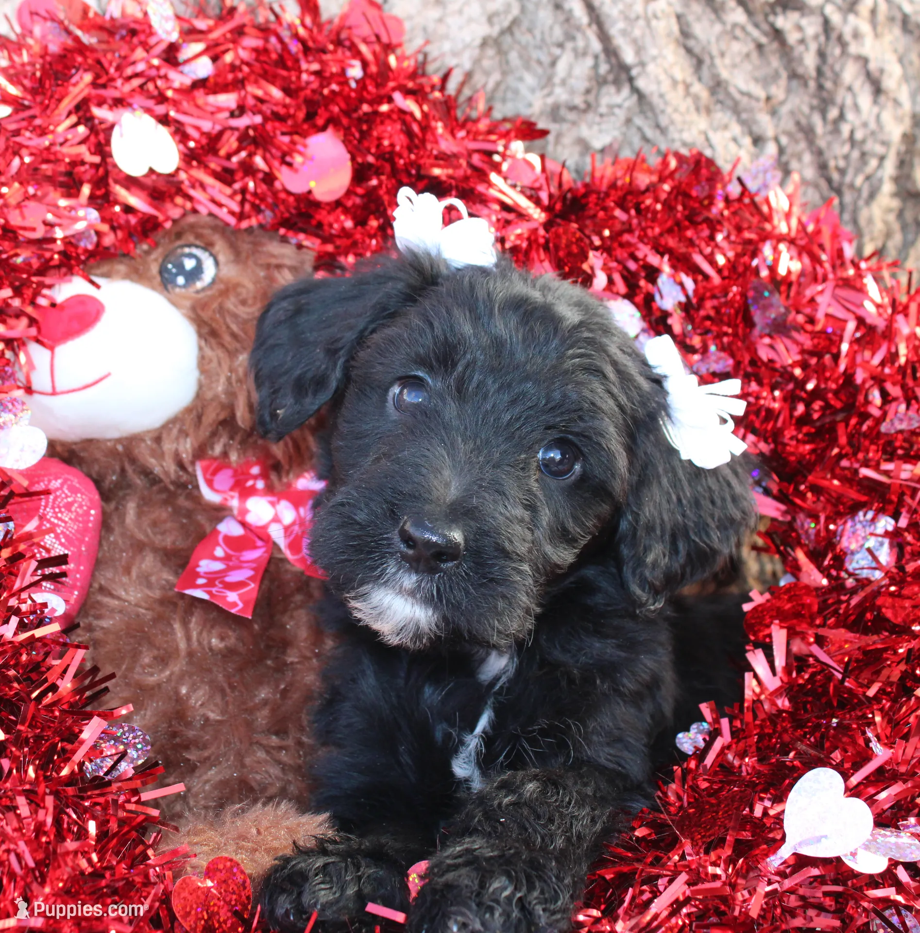 processed/edf1c1d9-96d9-4d46-a9db-dbf371521bda/listing/482e7fd3-ab68-4478-8e4a-79d6598db564/989fb0b2-42f9-4262-9253-4df4d58ad029