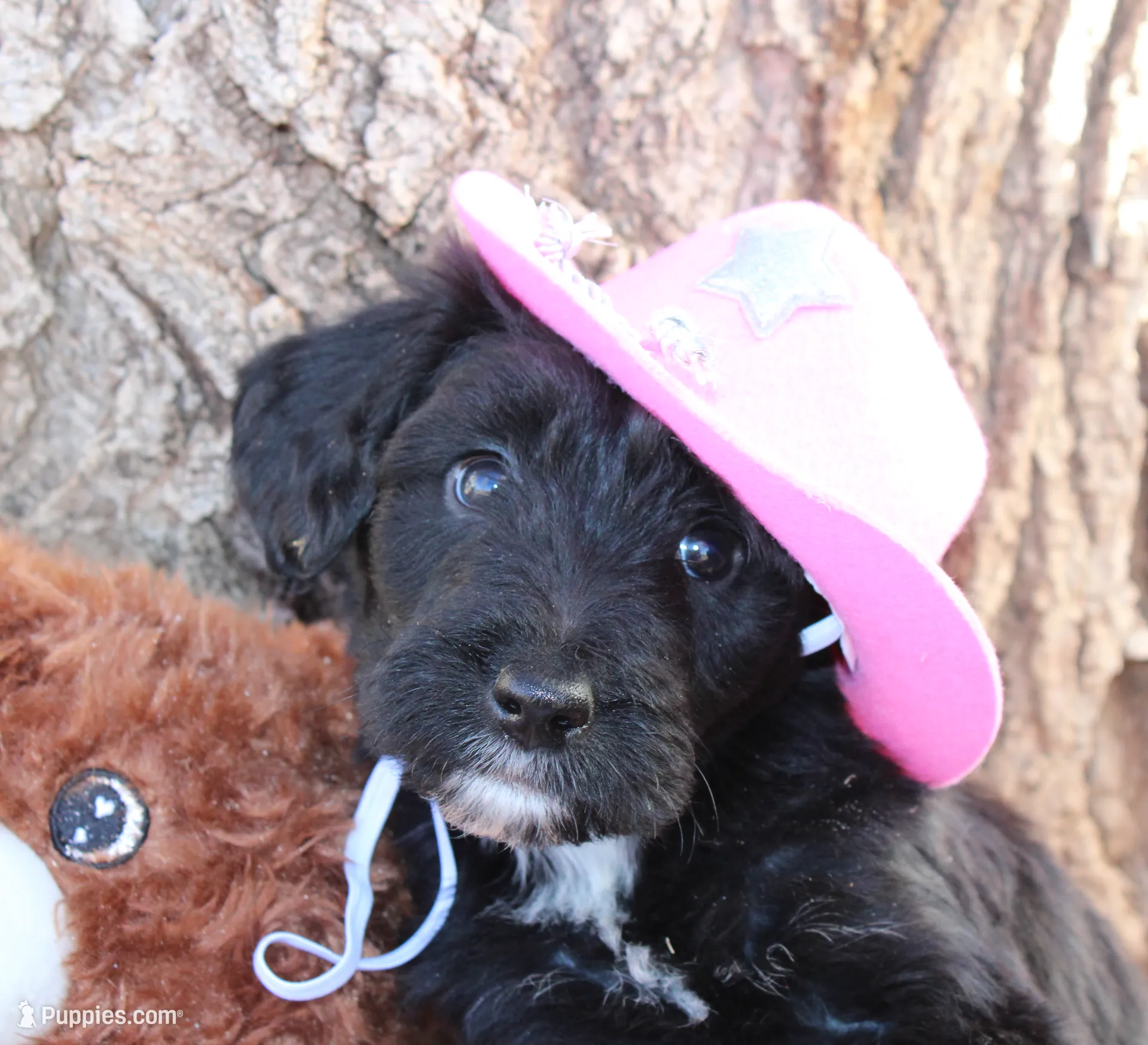 processed/edf1c1d9-96d9-4d46-a9db-dbf371521bda/listing/482e7fd3-ab68-4478-8e4a-79d6598db564/b43e36a2-0bbc-4ff6-804d-3d95dd464e2e