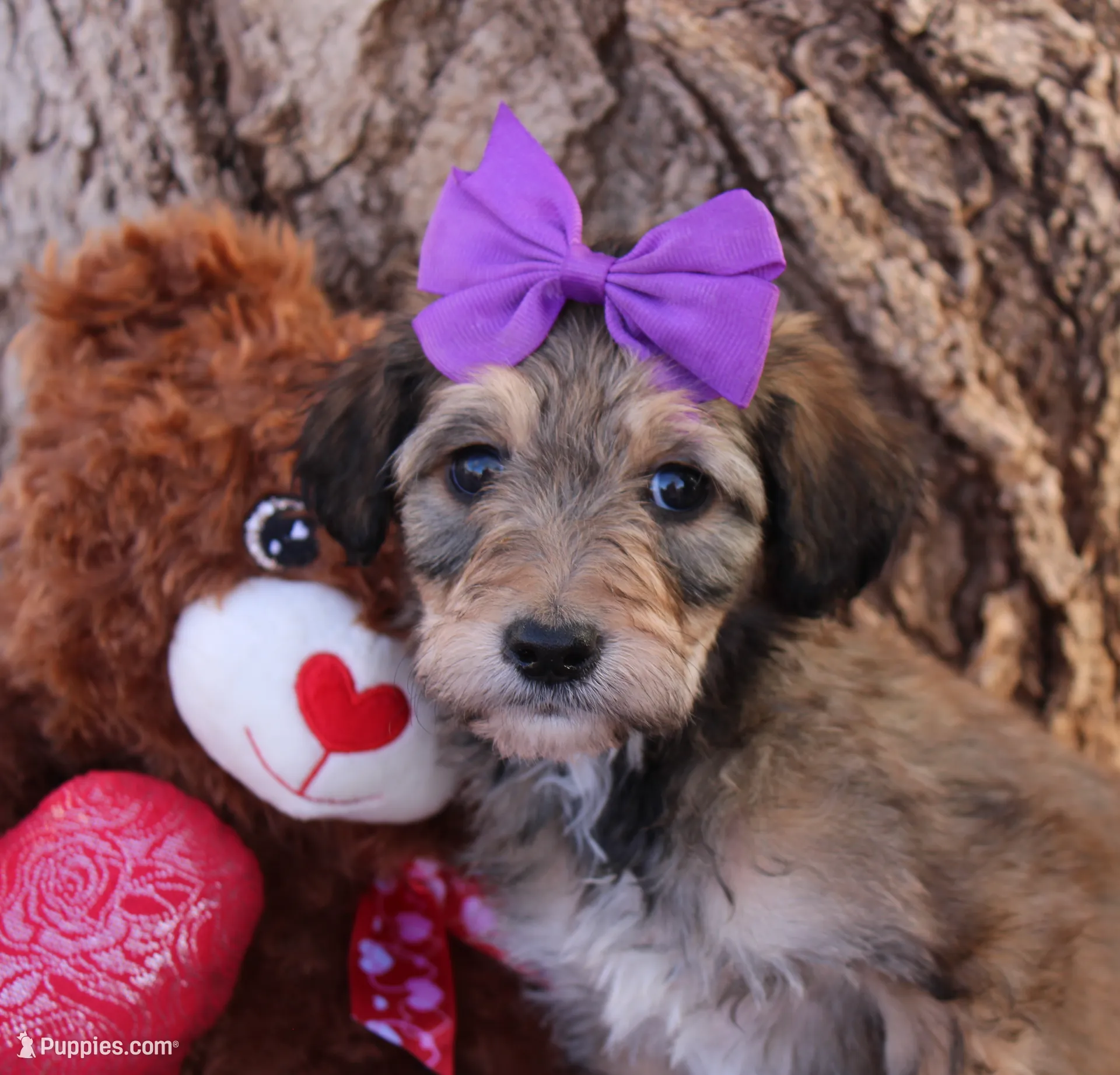 processed/edf1c1d9-96d9-4d46-a9db-dbf371521bda/listing/59b34a7b-f41e-4883-9d5d-469fcdf3ff67/c14d6655-1c54-4ab2-9c1e-1ef941a3cb0c