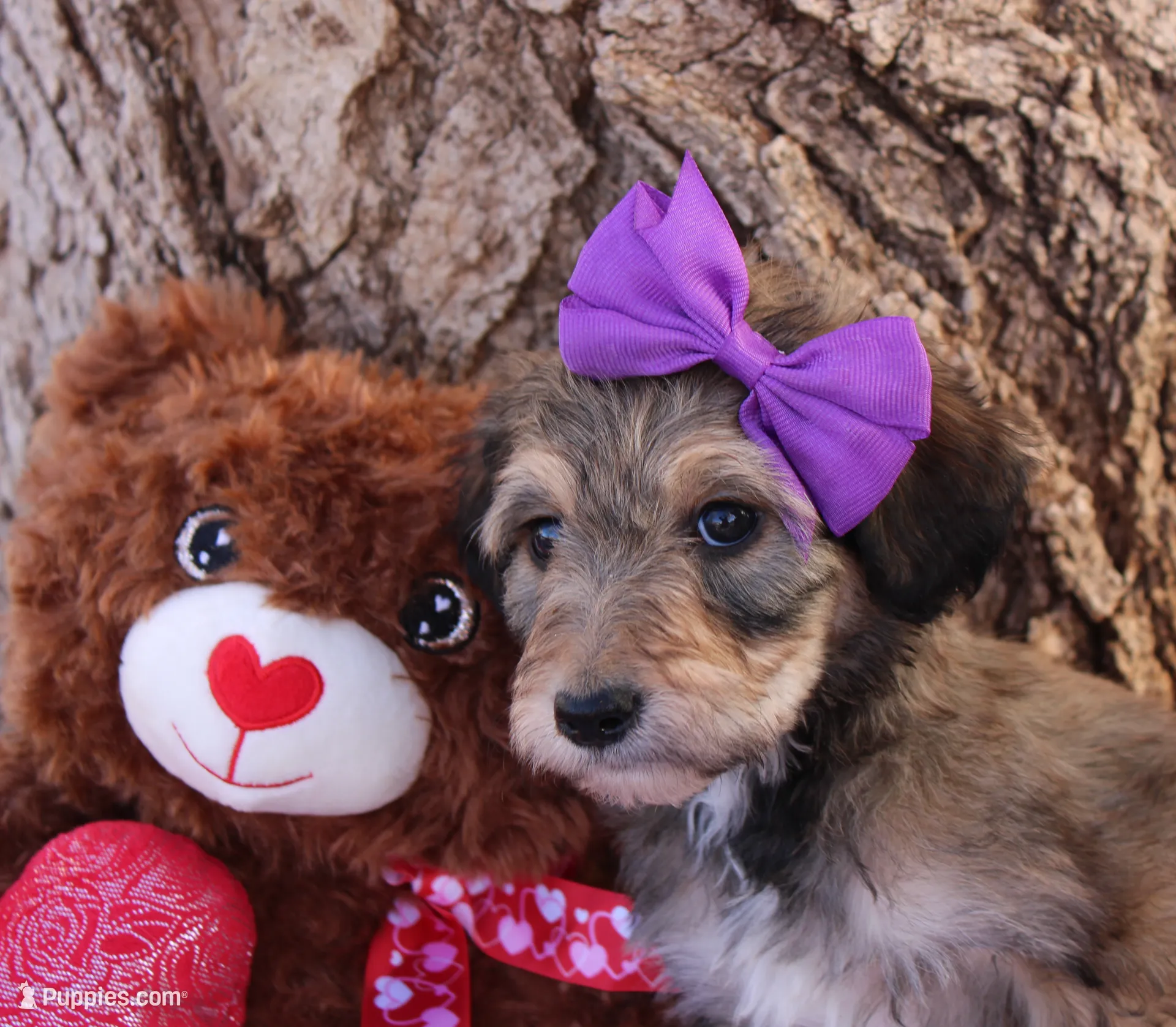 processed/edf1c1d9-96d9-4d46-a9db-dbf371521bda/listing/59b34a7b-f41e-4883-9d5d-469fcdf3ff67/e4e5e215-24b7-46a7-be9f-9abe8d35130c