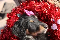 processed/edf1c1d9-96d9-4d46-a9db-dbf371521bda/listing/5bce119c-4aa5-4c76-9787-426c2a67147c/77022e98-ee93-48a6-8990-be2cf8549a3b