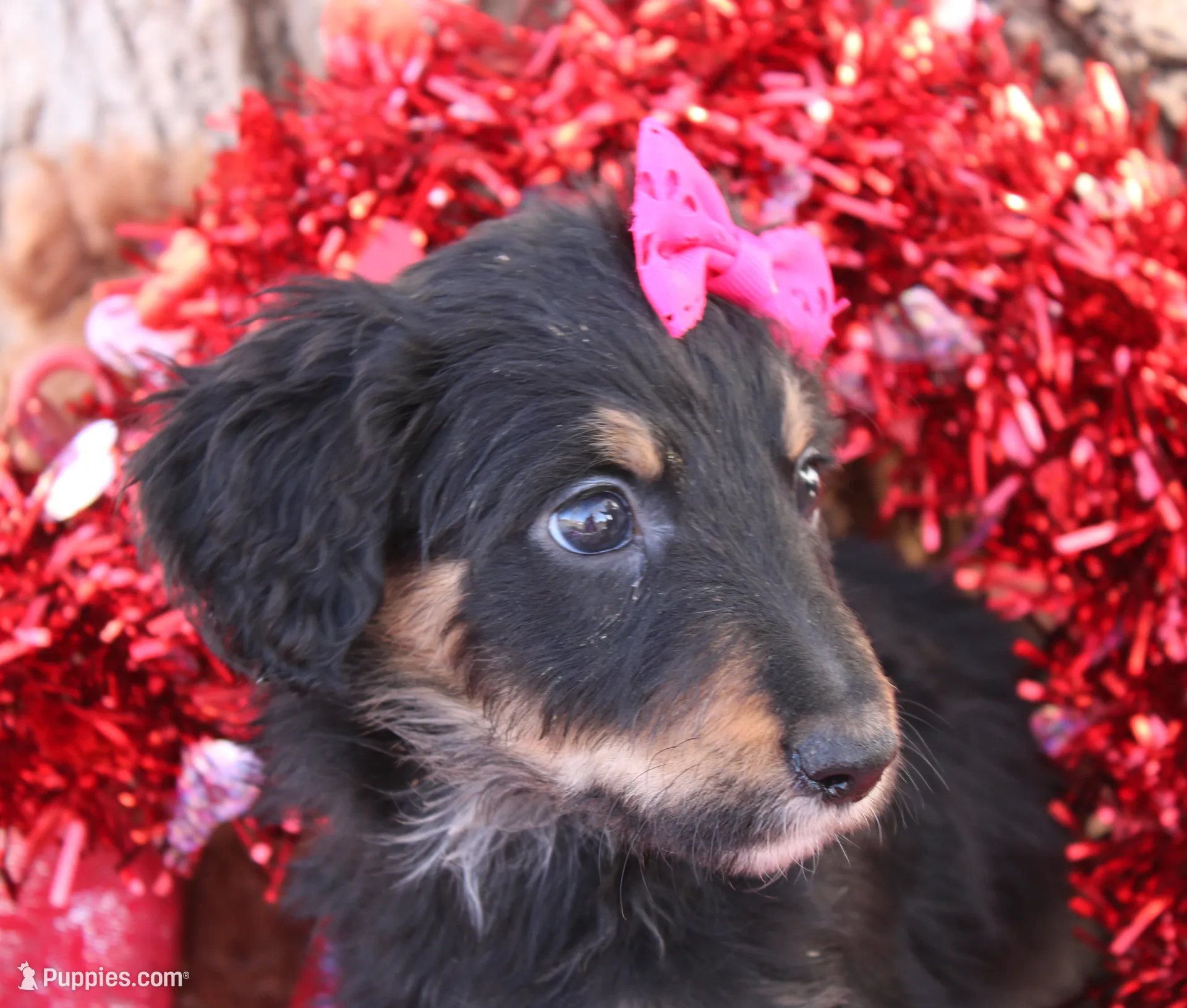 processed/edf1c1d9-96d9-4d46-a9db-dbf371521bda/listing/5bce119c-4aa5-4c76-9787-426c2a67147c/87908d69-eab7-4b6e-897d-b36d8a803397