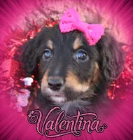 processed/edf1c1d9-96d9-4d46-a9db-dbf371521bda/listing/5bce119c-4aa5-4c76-9787-426c2a67147c/a140d2f0-b410-428c-b4f8-8bb87afd508f