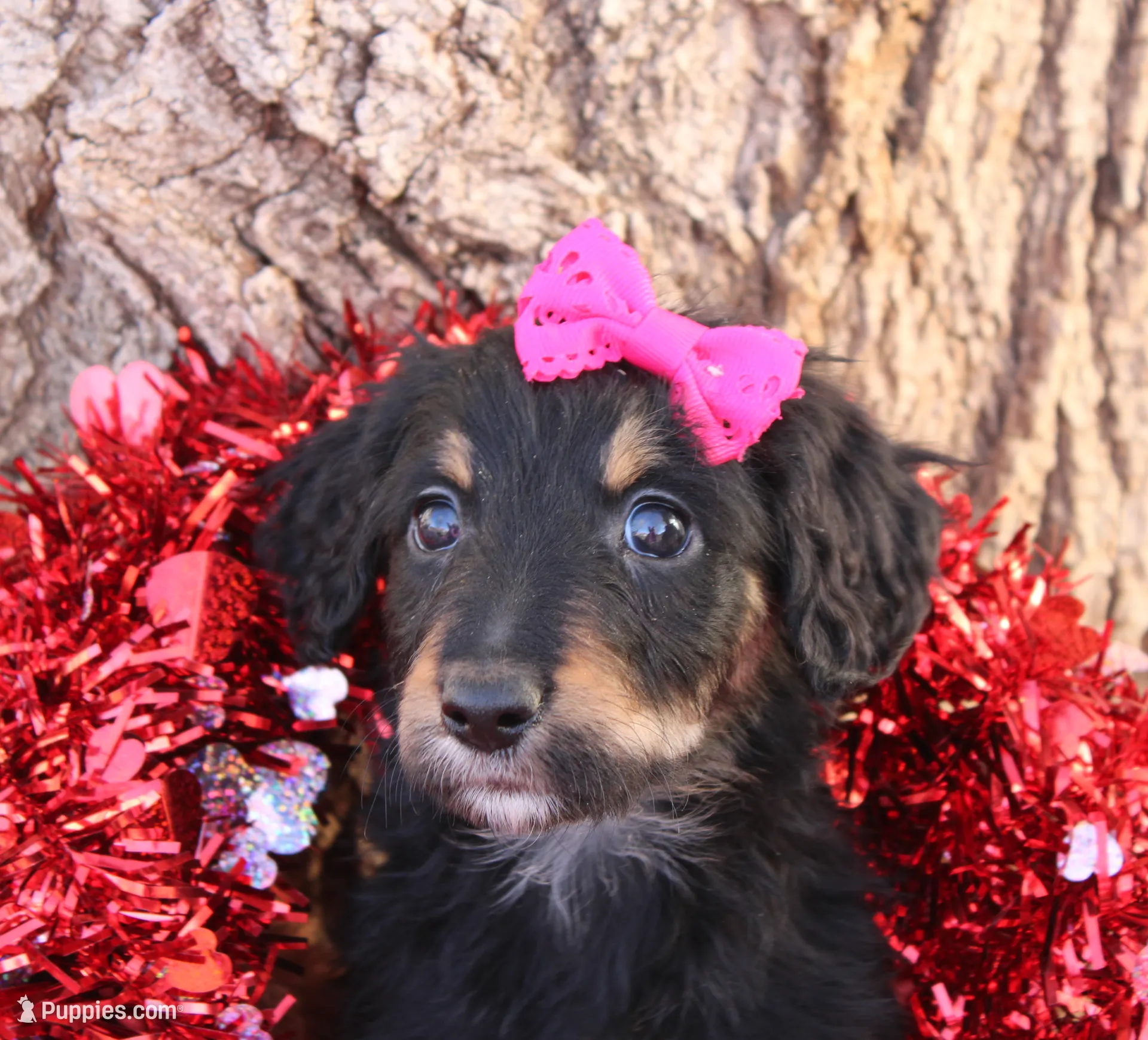 processed/edf1c1d9-96d9-4d46-a9db-dbf371521bda/listing/5bce119c-4aa5-4c76-9787-426c2a67147c/be0cfd83-2f0c-4133-8a19-67f8654d7960