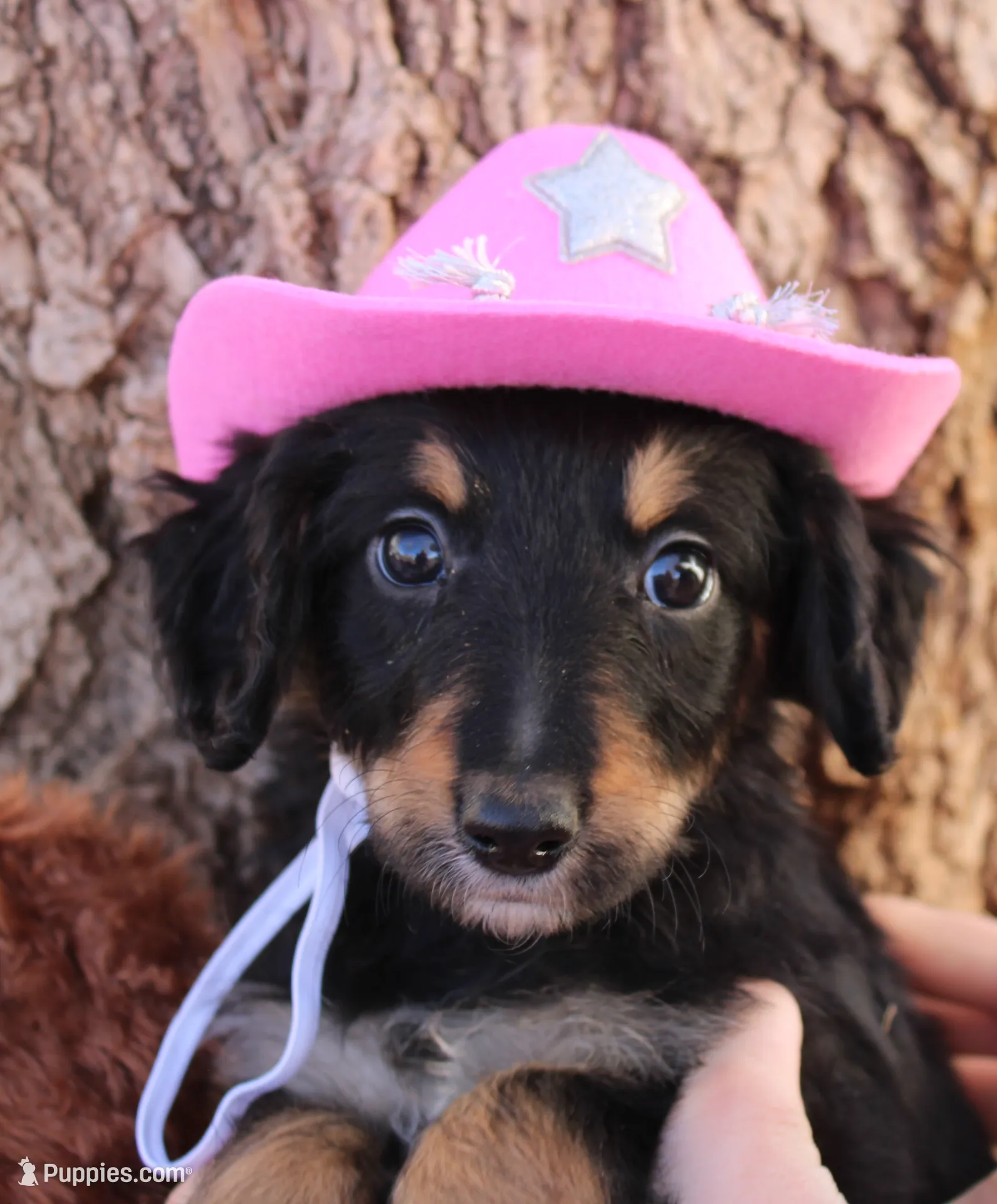 processed/edf1c1d9-96d9-4d46-a9db-dbf371521bda/listing/5bce119c-4aa5-4c76-9787-426c2a67147c/d22fcdeb-bd88-4402-813d-2a4b7b81bb33