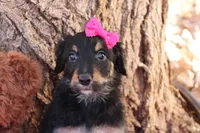 processed/edf1c1d9-96d9-4d46-a9db-dbf371521bda/listing/5bce119c-4aa5-4c76-9787-426c2a67147c/e1ceaa93-2938-4481-80e5-eec6f0be2731