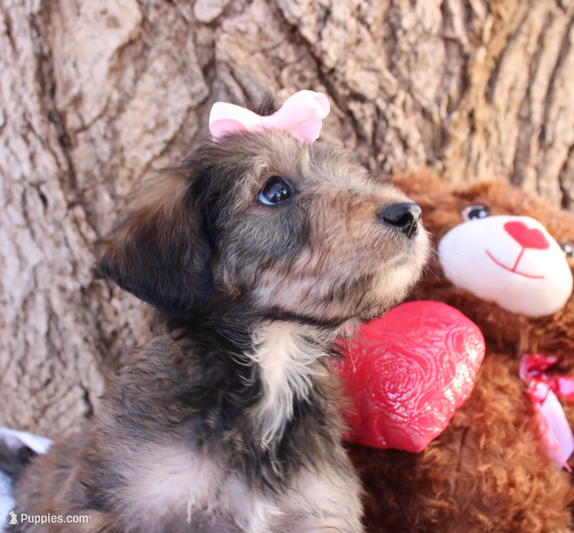 processed/edf1c1d9-96d9-4d46-a9db-dbf371521bda/listing/6d3a3a90-ec78-4cc1-bdd9-800236228269/0e98e63f-410d-4b96-bc6a-21a942e5db58