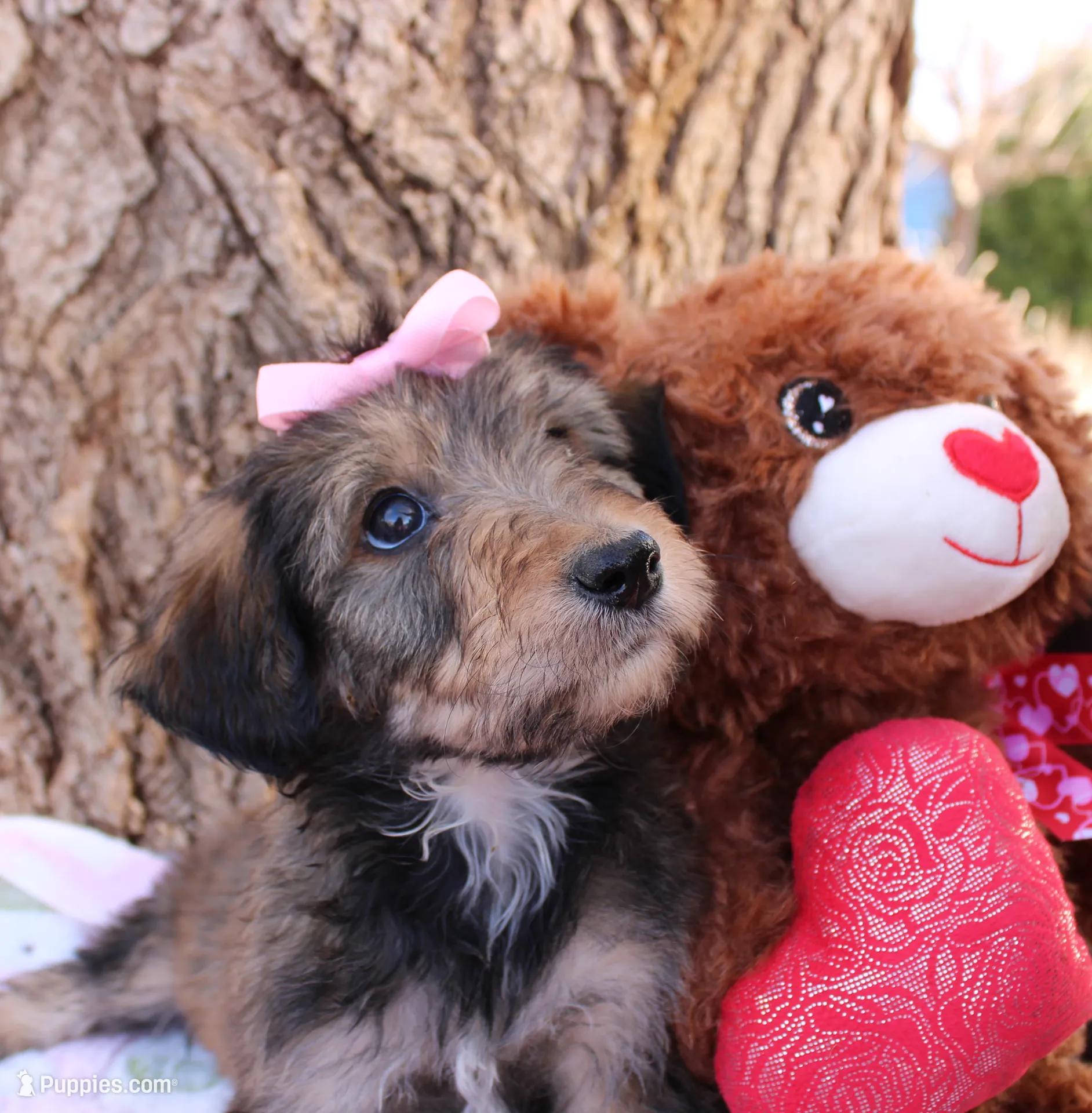 processed/edf1c1d9-96d9-4d46-a9db-dbf371521bda/listing/6d3a3a90-ec78-4cc1-bdd9-800236228269/674d6e5e-d17b-46f0-85c9-ae84979e68ca