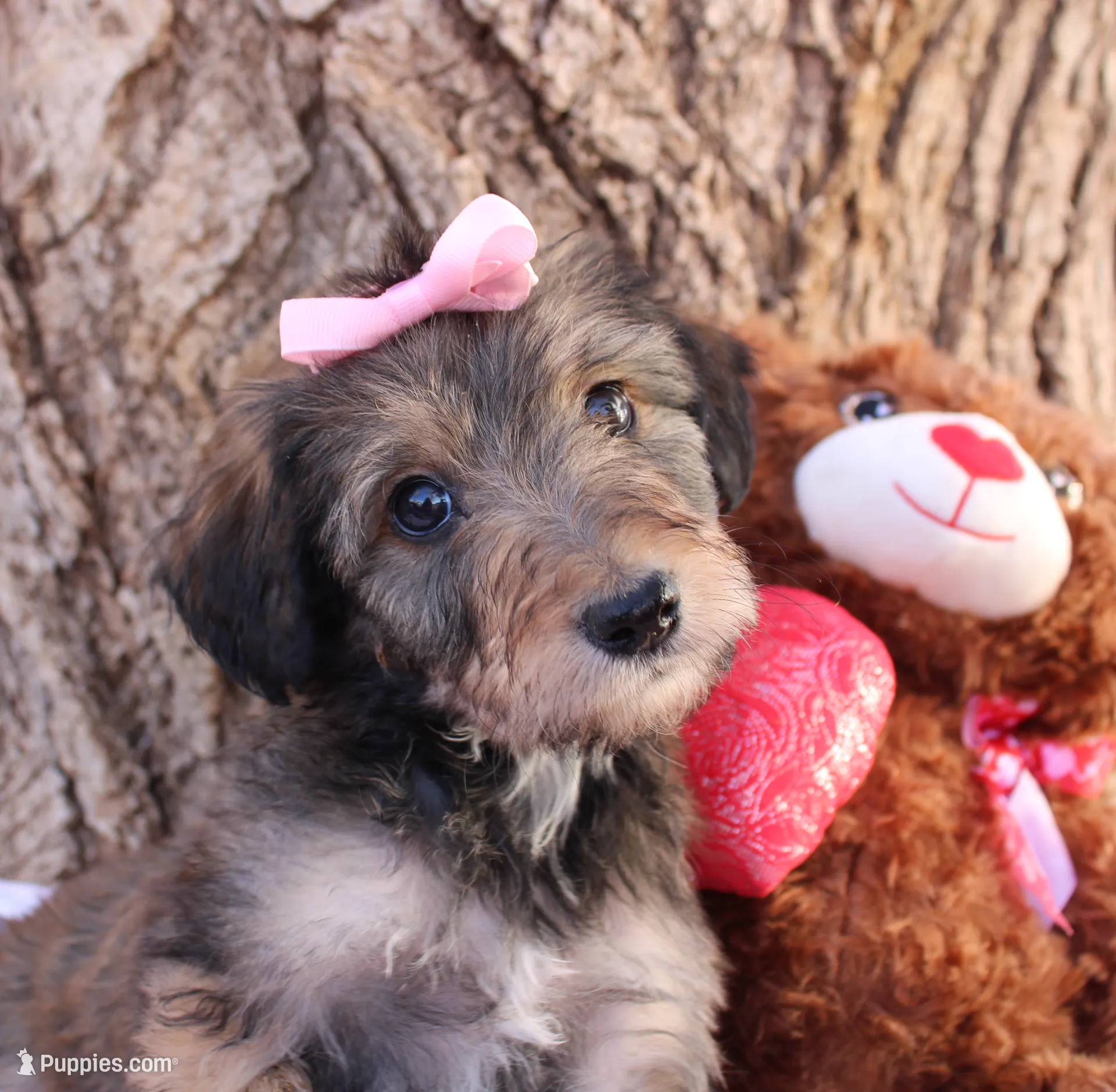 processed/edf1c1d9-96d9-4d46-a9db-dbf371521bda/listing/6d3a3a90-ec78-4cc1-bdd9-800236228269/e594d0b3-d9eb-4e7e-be4f-4b3da21d291e