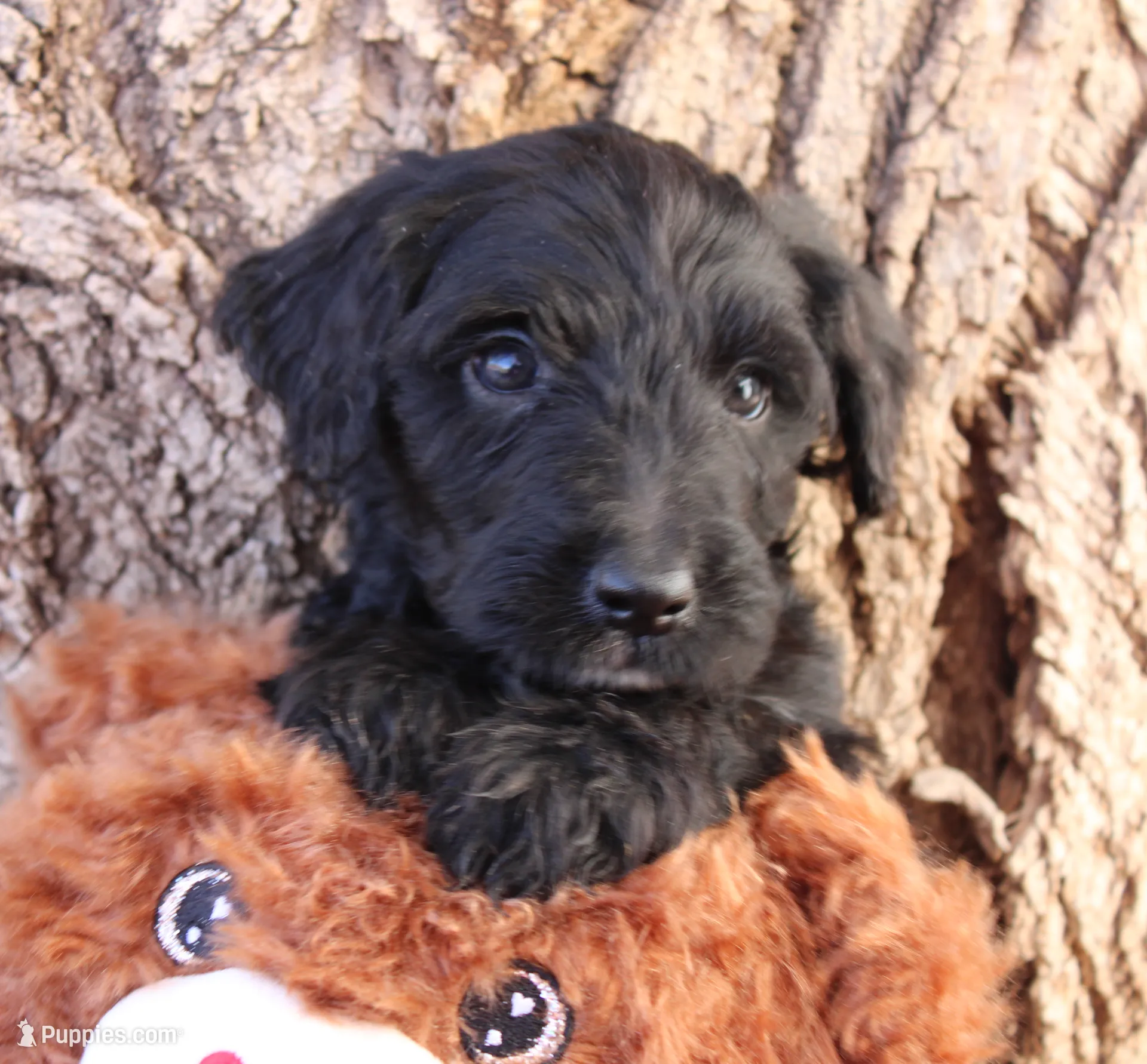 processed/edf1c1d9-96d9-4d46-a9db-dbf371521bda/listing/8a2a8cfb-edee-4612-93db-131f8d39914b/11fec3cd-86b3-4174-adc7-c34f373b695b