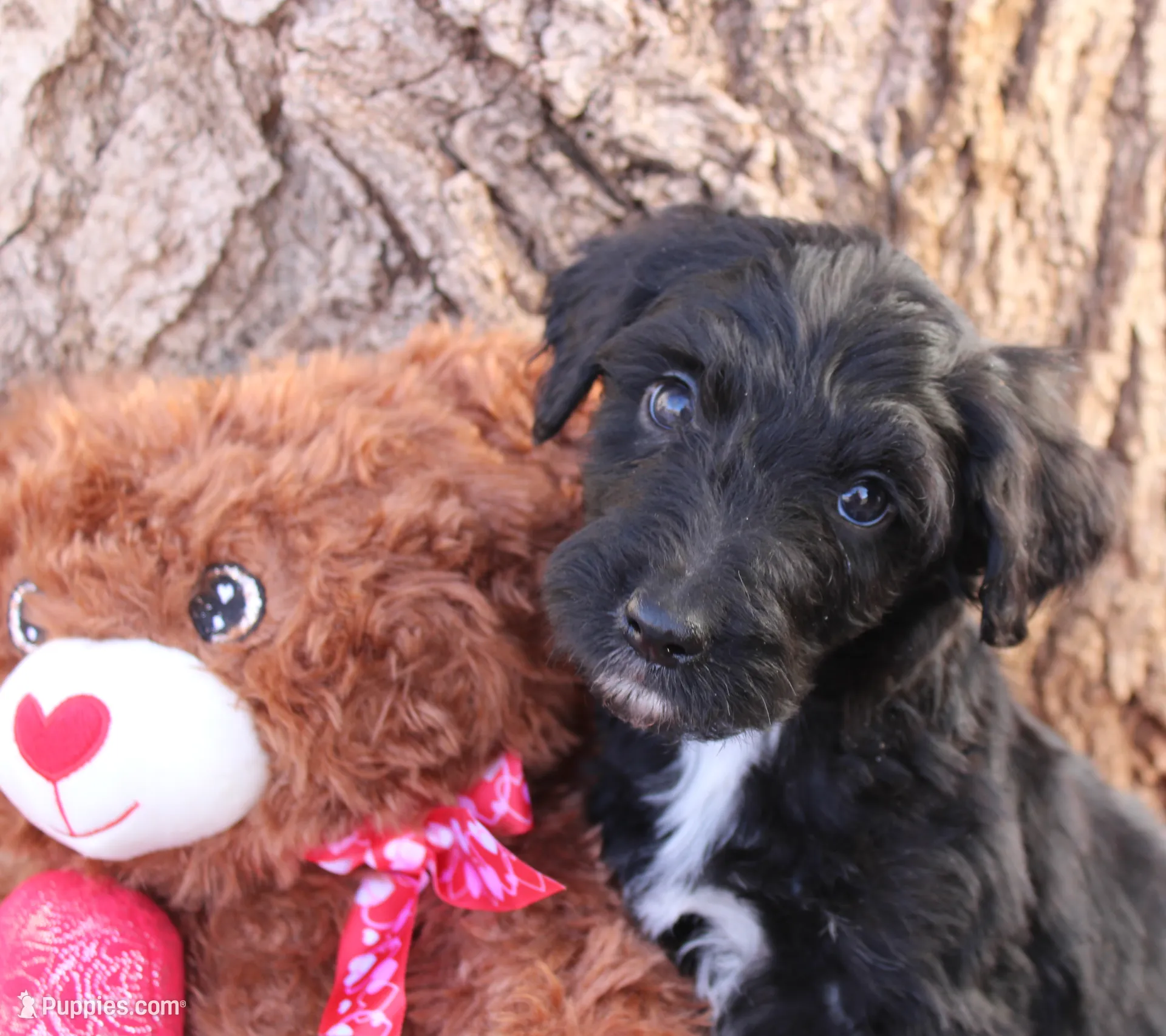 processed/edf1c1d9-96d9-4d46-a9db-dbf371521bda/listing/8a2a8cfb-edee-4612-93db-131f8d39914b/1f987a51-d103-4a25-88aa-7a2e93402a8d