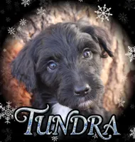 processed/edf1c1d9-96d9-4d46-a9db-dbf371521bda/listing/8a2a8cfb-edee-4612-93db-131f8d39914b/628ebc49-5f97-4227-931a-974b56dada6a