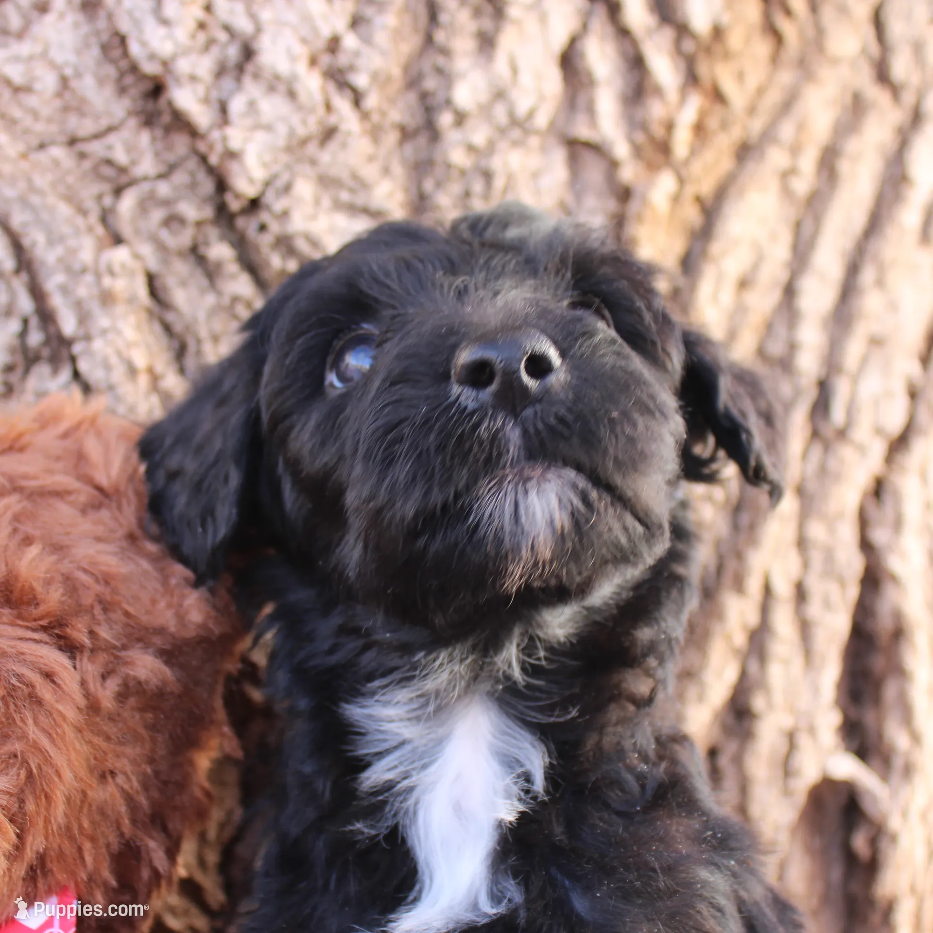 processed/edf1c1d9-96d9-4d46-a9db-dbf371521bda/listing/8a2a8cfb-edee-4612-93db-131f8d39914b/8b6af0e8-9042-40ea-994f-28d7d5be0bc0